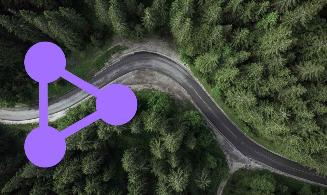 Carretera sinuosa entre árboles vista aérea, metáfora del análisis multidimensional del ecosistema informativo