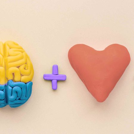 Imagen conceptual de un cerebro y un corazón modelados en plastilina con símbolos de suma e igualdad
